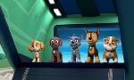 Revoir Paw patrol, la pat'patrouille du 23 Janvier