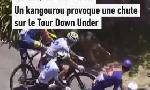 Revoir Un kangourou apeur� a perturb� la cinqui�me et derni�re �tape du tour down under du 27 Janvier