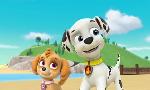 Revoir Paw patrol, la pat'patrouille du 31 Janvier