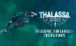 Revoir Thalassa, aventures extr�mes du 02 F�vrier