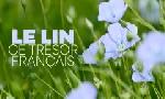 Revoir Le lin, ce tr�sor fran�ais du 10 F�vrier