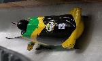Revoir Bobsleigh -  du 16 F�vrier