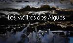 Revoir Les ma�tres des algues du 16 F�vrier
