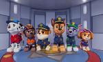 Revoir Paw patrol, la pat'patrouille du 21 F�vrier