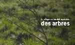 Revoir Le village qui voulait replanter des arbres du 22 F�vrier