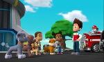 Revoir Paw patrol, la pat'patrouille du 26 F�vrier