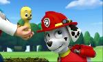 Revoir Paw patrol, la pat'patrouille du 15 Mars