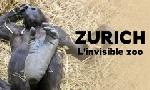 Revoir L?invisible zoo du 17 Mars
