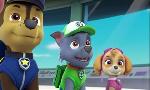 Revoir Paw patrol, la pat'patrouille du 19 Mars