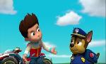 Revoir Paw patrol, la pat'patrouille du 20 Mars