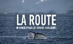 Revoir Pourquoi faut-il de toute urgence prot�ger les esp�ces migratrices ? du 25 Mars