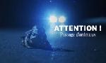 Revoir Attention ! passage d'animaux : quand la faune croise nos routes du 26 Mars