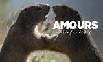 Revoir Amours printani�res : s�duction et reproduction chez les animaux du 10 Avril