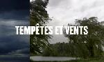 Revoir R�flexe ! du 05 Avril