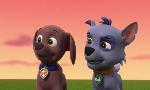 Revoir Paw patrol, la pat'patrouille du 14 Avril