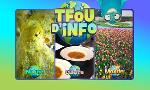 Revoir Tfou d'info du 15 Avril