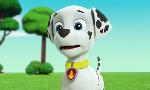 Revoir Paw patrol, la pat'patrouille du 23 Avril