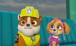 Revoir Paw patrol, la pat'patrouille du 24 Avril