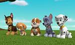 Revoir Paw patrol, la pat'patrouille du 28 Avril