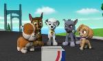 Revoir Paw patrol, la pat'patrouille du 07 Mai