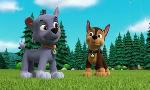 Revoir Paw patrol, la pat'patrouille du 07 Mai