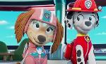 Revoir Paw patrol, la pat'patrouille du 07 Mai