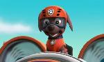 Revoir Paw patrol, la pat'patrouille du 07 Mai