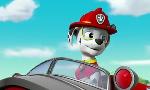 Revoir Paw patrol, la pat'patrouille du 07 Mai