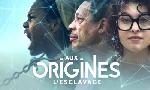 Revoir Aux origines, l'esclavage du 06 Mai