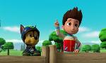 Revoir Paw patrol, la pat'patrouille du 11 Mai