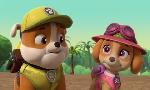 Revoir Paw patrol, la pat'patrouille du 12 Mai