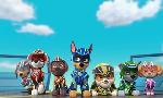 Revoir Paw patrol, la pat'patrouille du 13 Mai