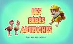 Revoir Paw patrol, la pat'patrouille du 15 Mai