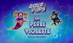 Revoir Paw patrol, la pat'patrouille du 16 Mai