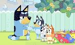 Revoir Bluey du 10 Mai
