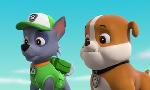 Revoir Paw patrol, la pat'patrouille du 26 Mai
