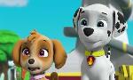 Revoir Paw patrol, la pat'patrouille du 27 Mai