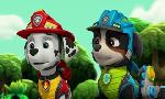 Revoir Paw patrol, la pat'patrouille du 27 Mai