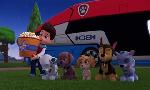 Revoir Paw patrol, la pat'patrouille du 29 Mai