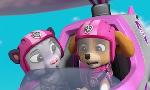 Revoir Paw patrol, la pat'patrouille du 30 Mai