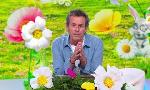 Revoir Les 12 coups de midi du 31 Mai