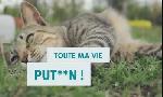Revoir L'abc du lundi 1er juin 2026 du 02 Juin