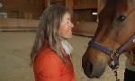 Revoir Quand le cheval aide � gu�rir du 02 Juin