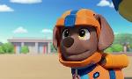Revoir Paw patrol, la pat'patrouille du 06 Juin