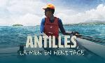 Revoir Antilles : la mer en h�ritage du 07 Juin