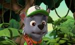 Revoir Paw patrol, la pat'patrouille du 08 Juin