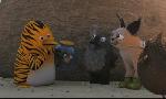 Revoir S3 e44 - jungle acad�mie du 08 Juin