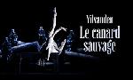 Revoir Vildanden - le canard sauvage du 12 Juin