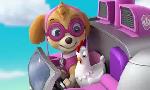Revoir Paw patrol, la pat'patrouille du 15 Juin