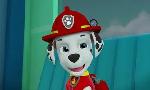 Revoir Paw patrol, la pat'patrouille du 15 Juin